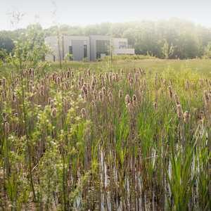 merignies_golf nature lac faune plantes