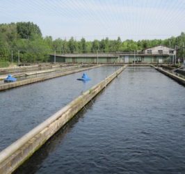 La pisciculture d'Anzin saint -Aubin ravitaille le golf de Mérignies en truite et poissons d'eau douce