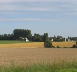 élevage à la ferme et en campagne pour la brasserie de Mérignies