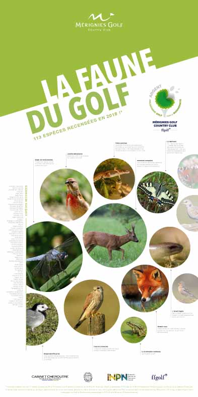 kakemono faune biodiversite merignies golf -leger La faune à Mérignies Golf biodiversité