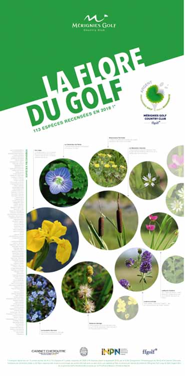 kakemono flore biodiversite merignies golf-leger la flore à Mérignies Golf biodiversité