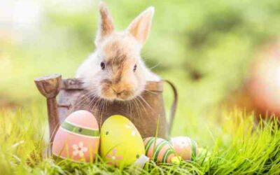Déjeuner de Pâques – 20 et 21 avril