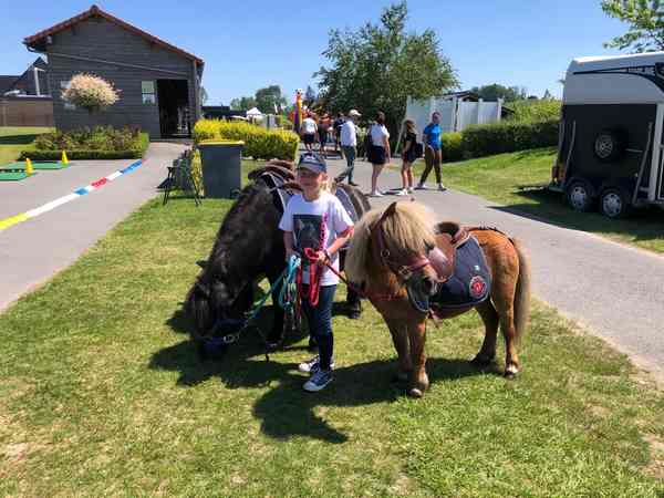 poney merignies golf