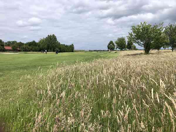 Photo Nature golf mérignies
