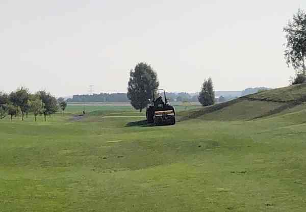 sursemis fairway (1)