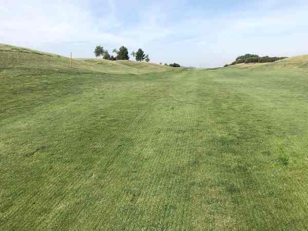 sursemis fairway (2)