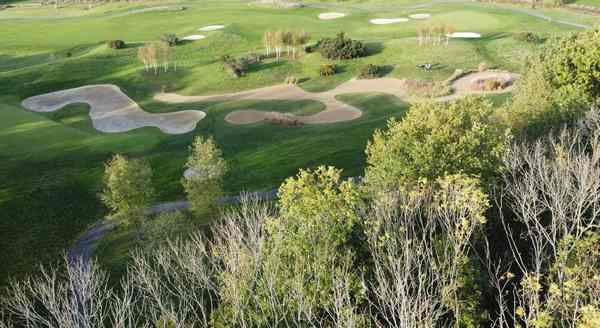 VDM 7 au dessu arbres leger)