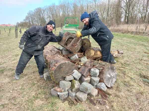 Tas bois jardiniers