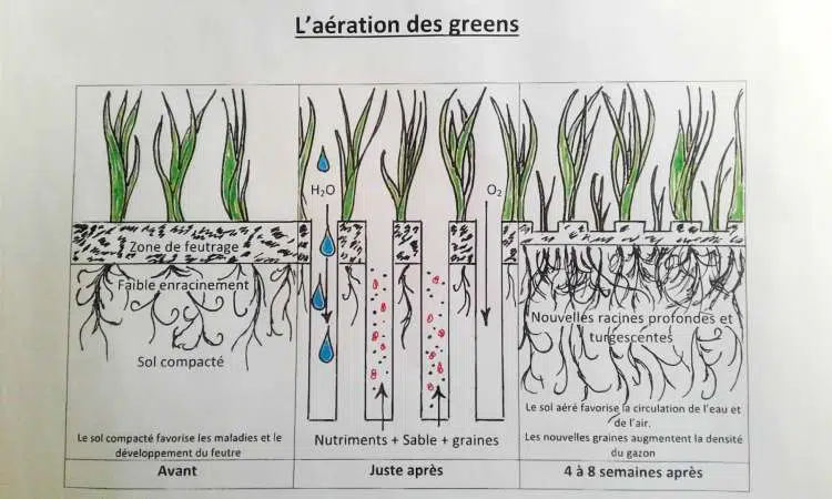 aeration-green.- carottage
