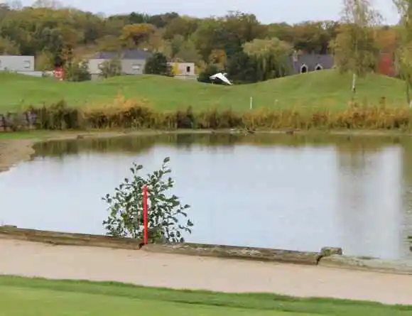 aigrette-blanche-2025-_4_